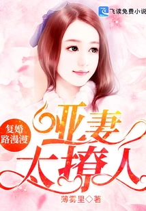 The Road to Remarriage is Long: the Mute Wife is Too Alluring