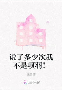 How Many Times Have I Said That I Am Not Xiang Yu!