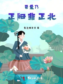 My Love is Zhengyang, Not Zhengbei