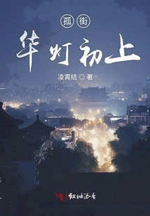 The Lanterns on the Solitary Street Come on for the First Time