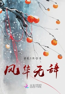 Elegance Without Words