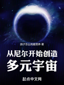 Creating the Multiverse Starting with Nier