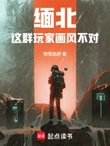 Northern Myanmar: These Players Have a Wrong Style!