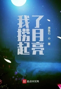 I Picked up the Moon