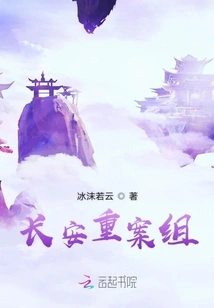 Chang'an Serious Crime Team