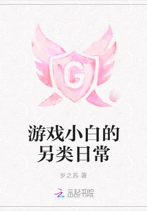 The Alternative Daily Life of a Gamer