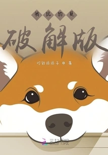 I Am Playing the Cracked Version