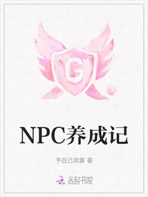 Npc Development Notes