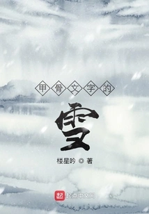 Snow with Oracle Bone Inscriptions