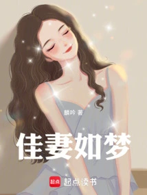 A Good Wife is Like a Dream