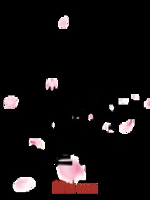 A Brilliant Life Starting from the Golden Years