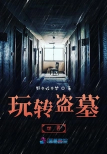 I Got Tripped up in the World of Tomb Robbers