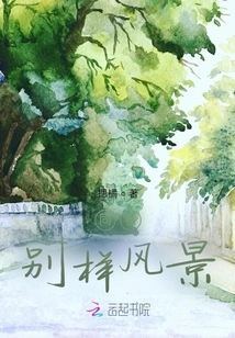 Seeing Different Scenery Together