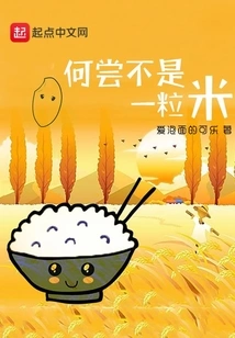 Isn't it Just a Grain of Rice?