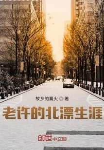 Lao Xu's Career as a Drifter in Beijing