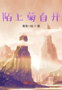 The Chrysanthemum Blooms on the Street