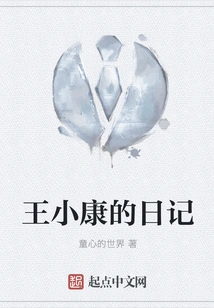 Wang Xiaokang's Diary