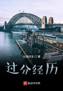 Excessive Experience