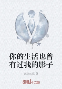 There Was Also My Shadow in Your Life