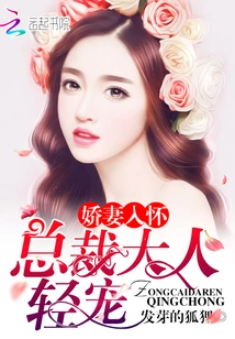 My Wife is Getting Divorced Every Day