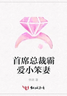 The Chief Executive Loves His Stupid Wife