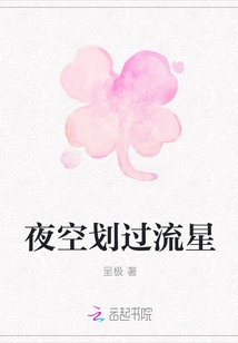 Shooting Stars Streak Across the Night Sky