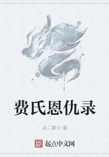 Fei's Enmity and Enmity Record