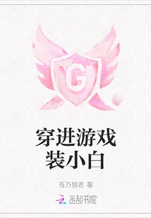 Wear into the Game Costume Novice