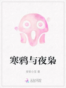 Jackdaw and Night Owl