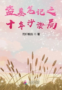 Tomb Robbers Notes: Ten Years of Shahai Bureau