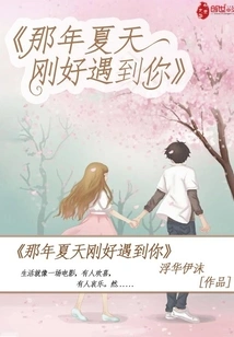 I Happened to Meet You That Summer