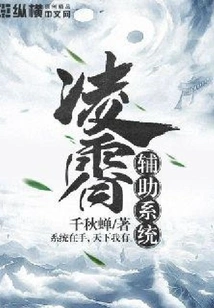 Lingxiao Auxiliary System