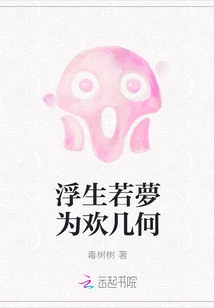 Floating Life is Like a Dream, the Geometry of Joy