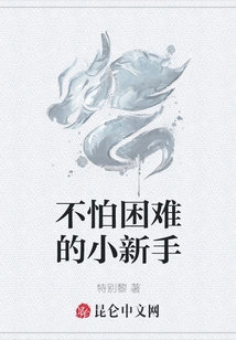 A Novice Who is Not Afraid of Difficulties