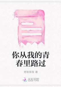 You Passed by My Youth