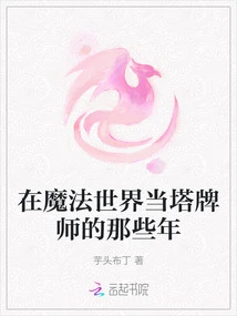 Those Years as a Tower Master in the Wizarding World