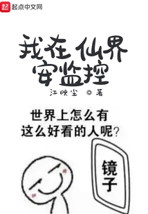 I Install Surveillance in the Fairy World