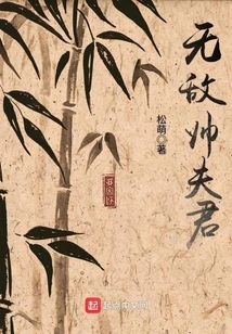 Invincible Handsome Husband