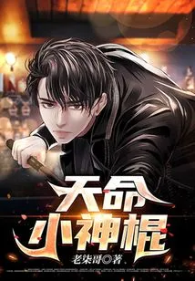 Destiny Little God Stick