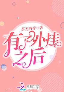 After Having the Plug-in