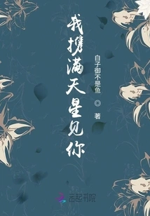 I Will See You with a Sky Full of Stars