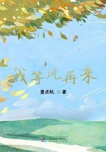 I'm Waiting for the Wind to Come Again