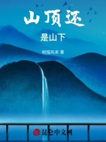 The Top of the Mountain or the Bottom of the Mountain?