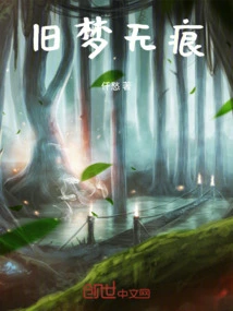 No Trace of Old Dreams