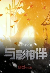 Accompanying the Shadow