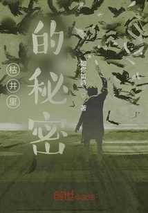 The Secret in the Dry Well