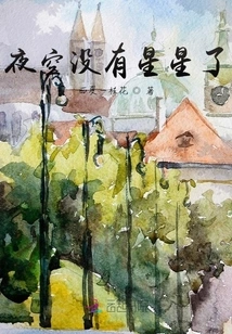 There Are No Stars in the Night Sky