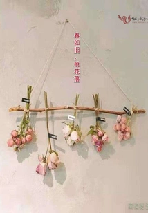 Spring is Like Old Peach Blossoms Falling