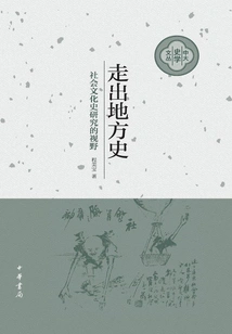 Going Beyond Local History: the Perspective of Social and Cultural History Research (cuhk Historiography Series)