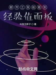 I Can See the Experience Value Panel in the City